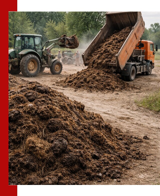 Доставка навоза самосвалами в Якутске для сельхозпотребностей