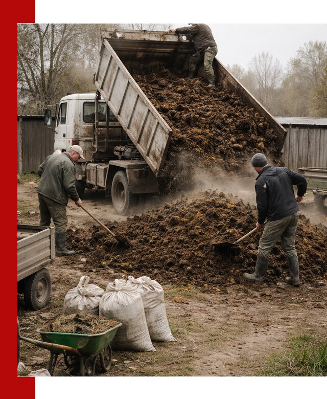 Доставка коровьего навоза самосвалом в Якутске